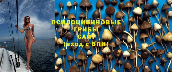 гашик Абаза