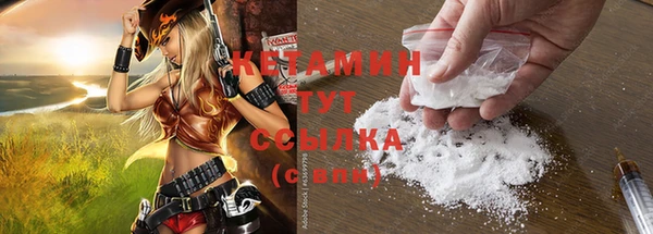 индика Касимов