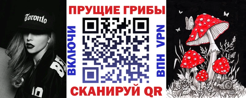 цена   ссылка на мегу как зайти  Галлюциногенные грибы MAGIC MUSHROOMS  Вышний Волочёк 